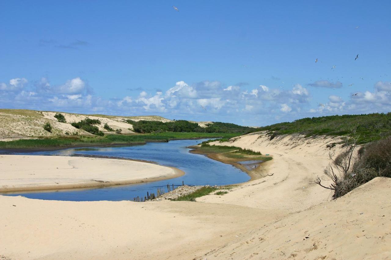 LE HAMEAU DES VAGUES 6 PERS Piscines et Nature à MOLIETS Moliets-et-Maa Exterior foto